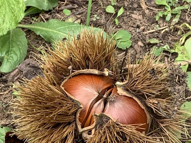 �傫�ȌI���������񗎂��Ă��܂��I���ꂾ���ł��e���V�����オ��܂���`�B_���є_��