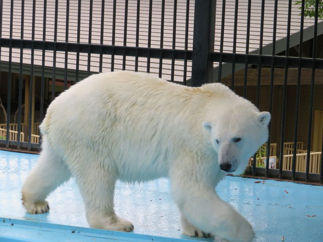 �����͂͂��낤��_���тЂ듮����