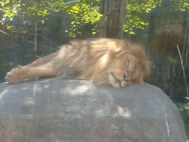 ���R������