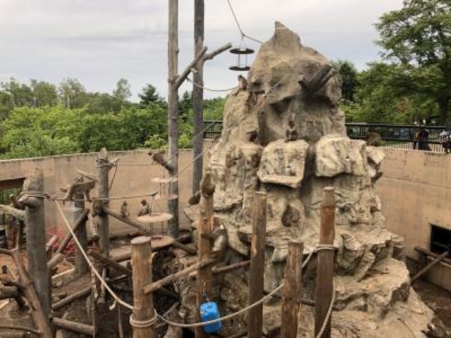 ���R_���R������