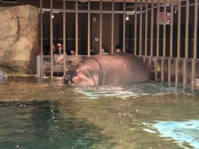 �J�o_���R������