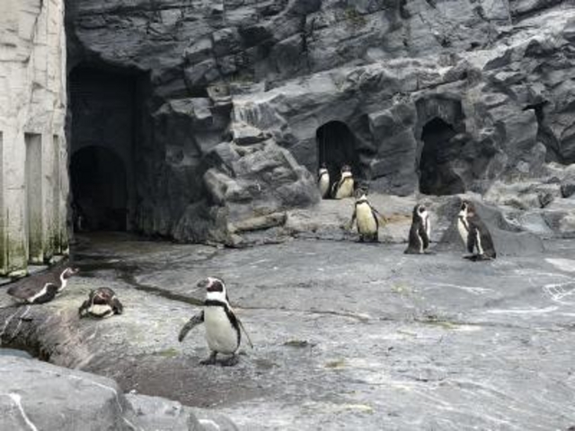 �y���M��_���R������