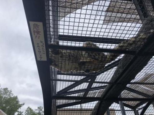 �������ԋ�_���R������