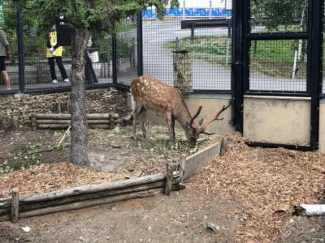 �ڈΎ�_���R������