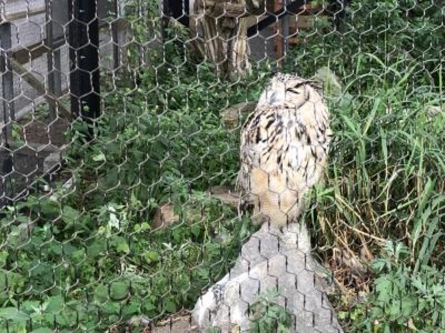 ��_���R������