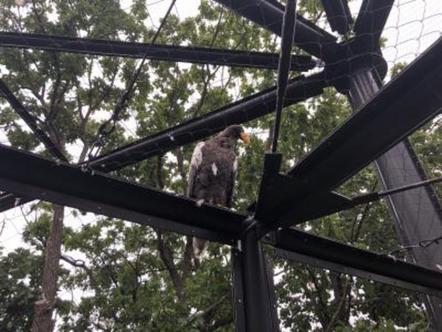 �����������I_���R������