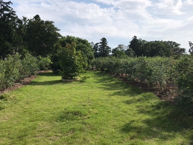 �̂ǂ��ȕ��i�B_���ʂ���ӂ��[��