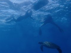 Ղ񂳂̃RY~bNA[Xւ̓eʐ^1