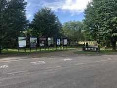 �Ȃׂ�������̏\����N�̐X�ւ̓��e�ʐ^1