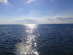 ₩Nature Guide Double Rainbow lC`[KCh@_uC{[ւ̓eʐ^1