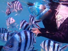 傤̃Vm[P{@ILiւ̓eʐ^1