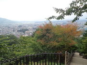 }Cann̐VqxmԐ_Ђ̓eʐ^1