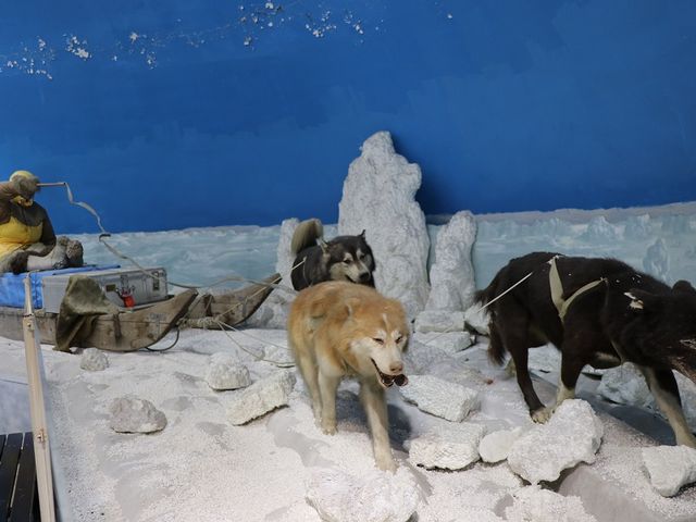 �A�����Ȏ�����_���тЂ듮����