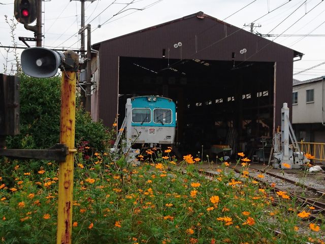 �������̓d��_�x��d��