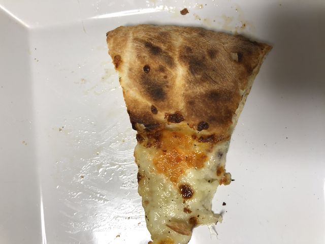 ͂A肵ލwB
ǂƂn̕`[Y葽cOłB
_qjZR~NH[