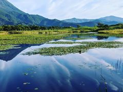 yk̊Вmc[Xgւ̓eʐ^1