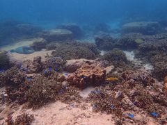 takmikĩVm[P{@ILiւ̓eʐ^1