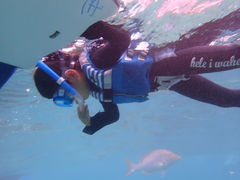 GONDivingshop Ryoւ̓eʐ^1