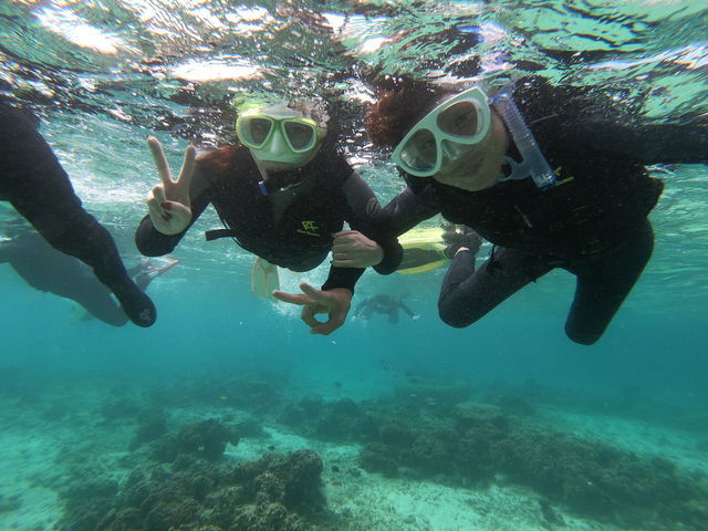 �V���m�[�P�����O_�����_�C�u (MalDive)