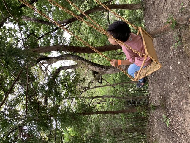 ���R�̃u�����R�A3�΂̑��q�����\�ł��܂����I_�V���_��@���}�i�J�ʉ�