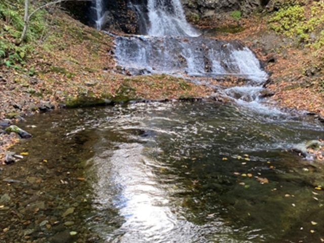 �����������ށu���a�̑�v_���a�̑�