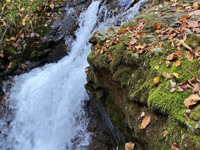 ��ւƐ����ǂ����ꗎ���镽�a�̑�̐�(����Ɍ����܂�)_���a�̑�