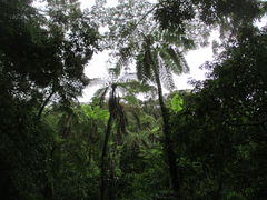 䂤񂳂̊όlbg[Nւ̓eʐ^1