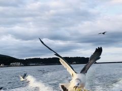 ̐̓AMN[WOv}ւ̓eʐ^1