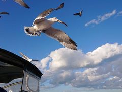 i̐̓AMN[WOv}ւ̓eʐ^1