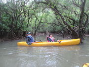 䂤񂳂̃}O[u̓eʐ^1