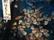 Ё[񂳂̔щY  CEREZ^[X̓eʐ^2