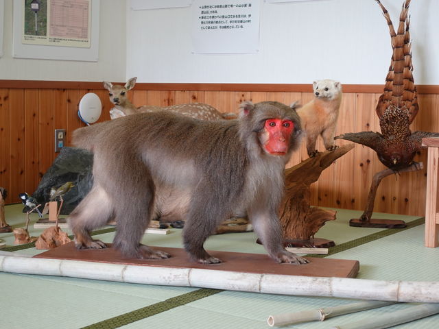 ���̉w ���i�����k���̗�