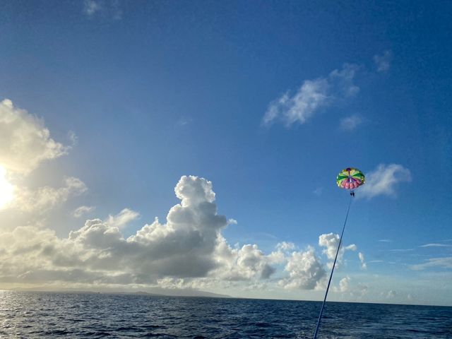 100m_�Ί_���u���[�V�[�T�[