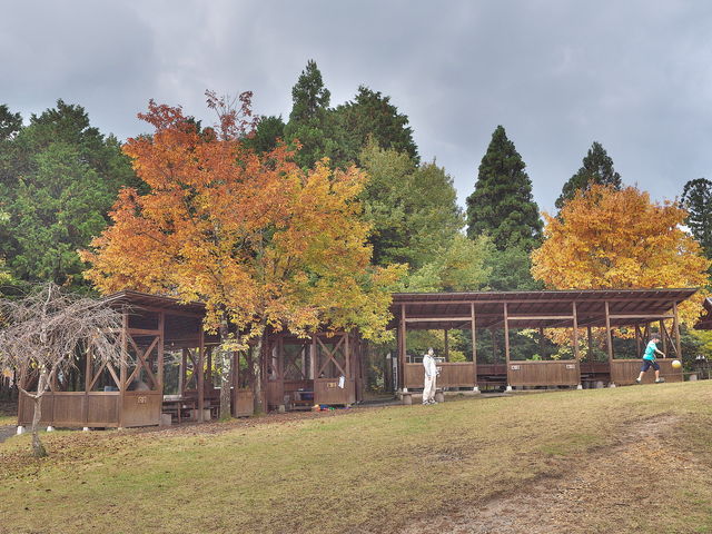 京都市京北森林公園 アクセス 営業時間 料金情報 じゃらんnet