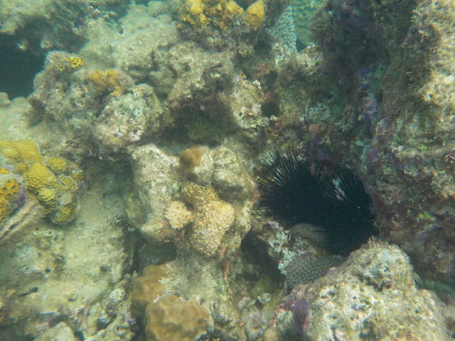 ����E�j�����܂����B_�����C���m