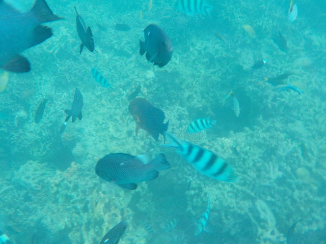 �a�t���|�C���g�B_�����C���m