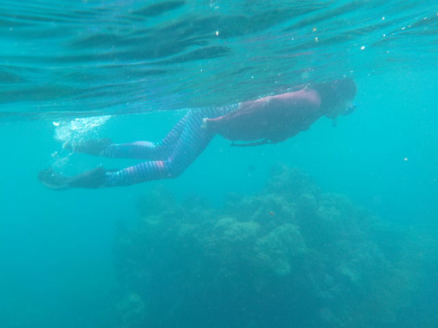 ��ł��B_�����C���m