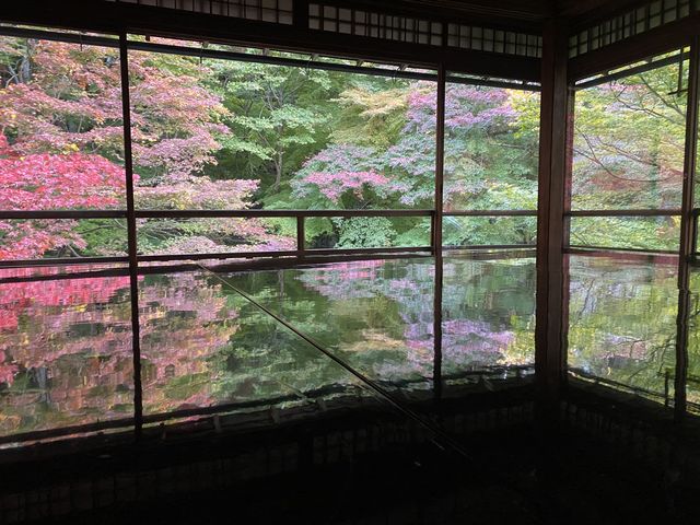 �g�t�ɂ͂܂��܂��ł������Y��ł���_�ڗ����@