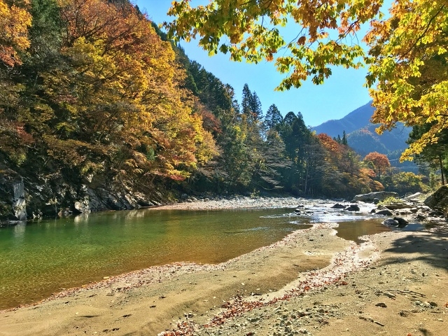 �n���삪�������Y��ł����B_UMESEKO TOUR