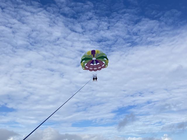 ���p���Z�[�����O�ł����B�C�����悩�����ł��B_�Ί_���u���[�V�[�T�[