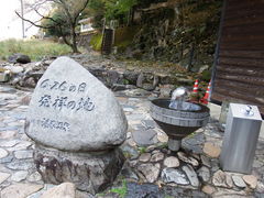 傤񂳂̍IVCւ̓eʐ^1