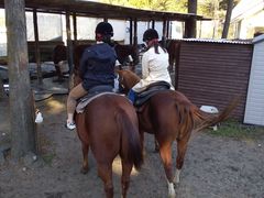 PPR̈hnChnNuւ̓eʐ^1