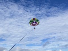 ȂȂ̐Ί_u[V[T[ւ̓eʐ^1