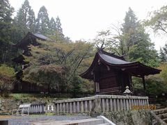 �j�C�`��������̐V�C�O�А_�Ё@�@�ւ̓��e�ʐ^1