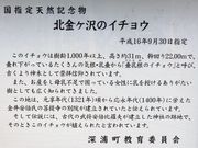 ^}Ԃ藷̖kP̑C`E̓eʐ^2