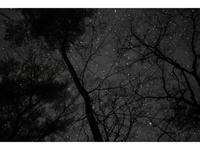 ������̐���_Moora Beat�i���[���r�[�g�j