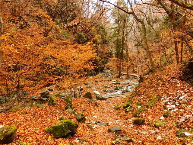 �ꂩ��̋A�蓹_�����̑�