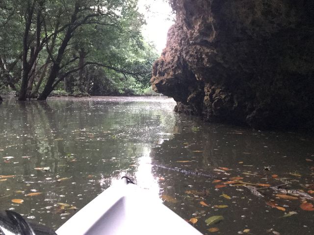 自然の中をゆったりと楽しみました_OHCUS石垣島