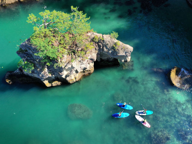 �ō��ł����I_�N�[�l�� �T�b�v �X�N�[��