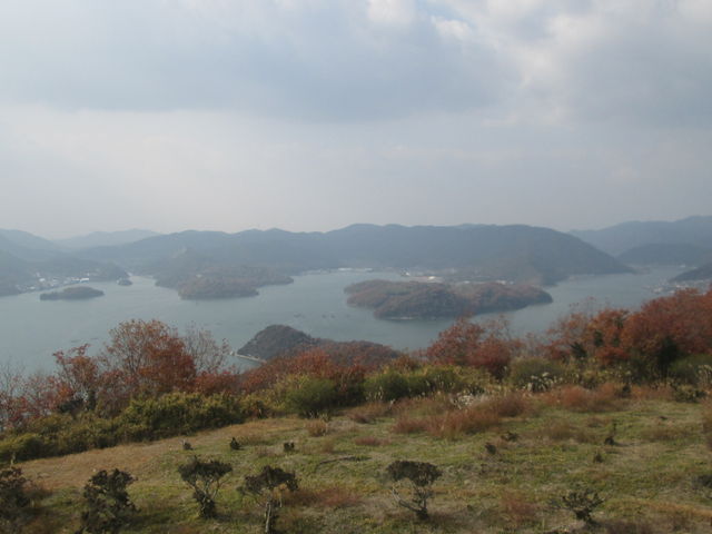 ͎ԂŗiF~܂ĊςĂ܂B_[R